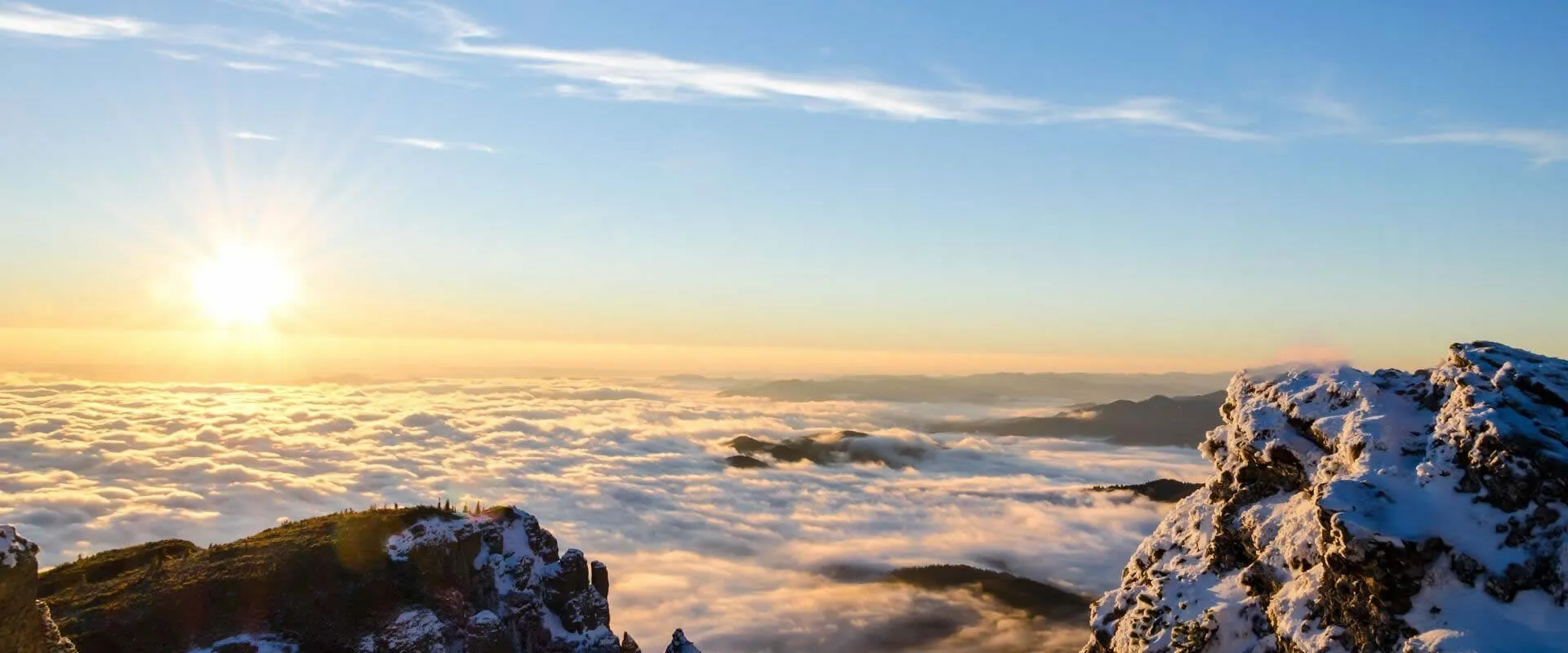판매 및 생산 프로세스에 대한 깊은 지식